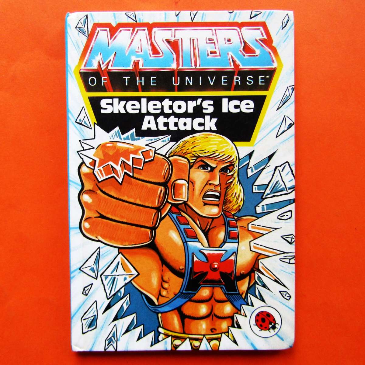 1984 Masters of the Universe - Hardcover Book