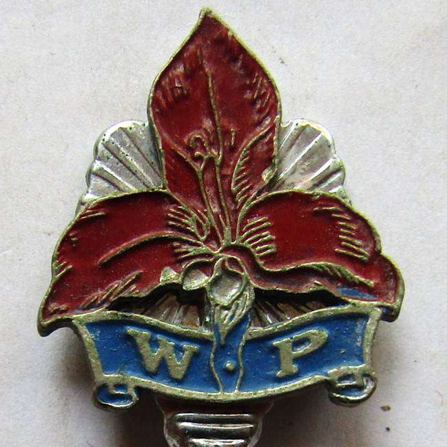 Old WP Western Province Rugby Crested Spoon