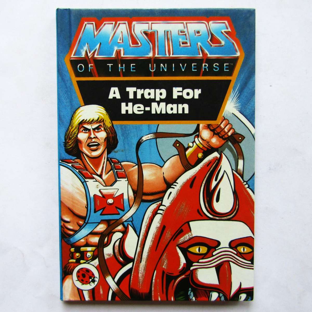 1983 Masters of the Universe - Hardcover Book