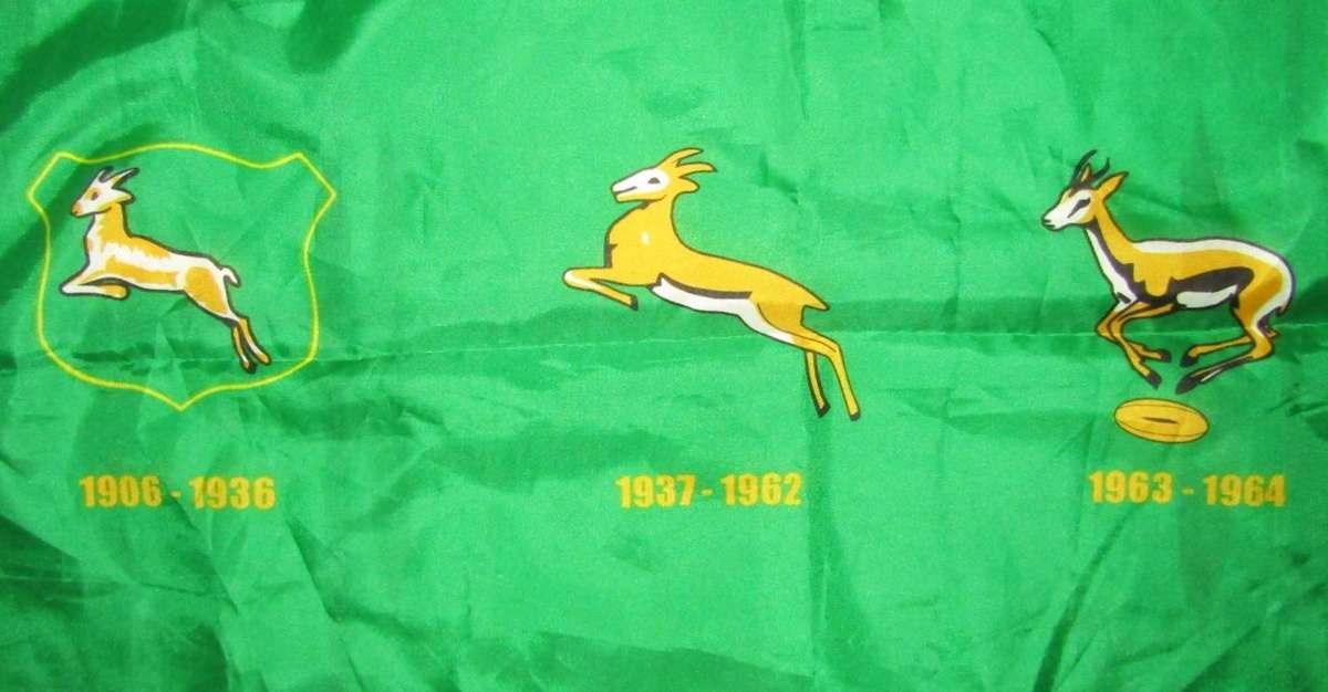 Large History of Springbok Rugby Flag