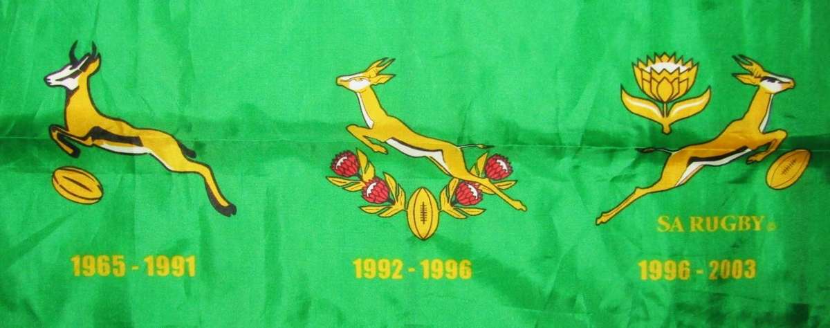 Large History of Springbok Rugby Flag