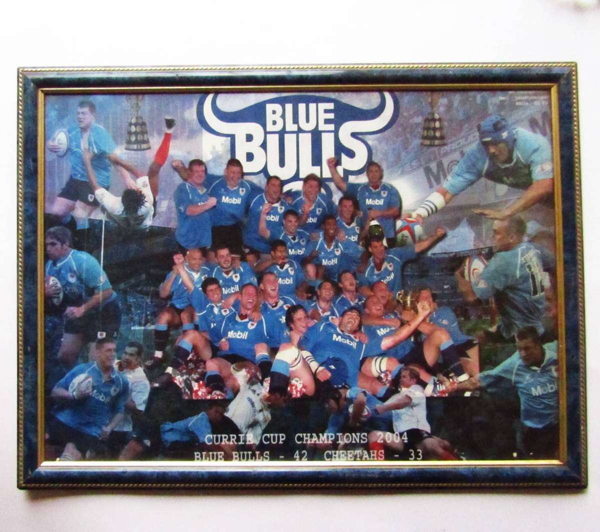 2004 Currie Cup Champions Blue Bulls Rugby Display
