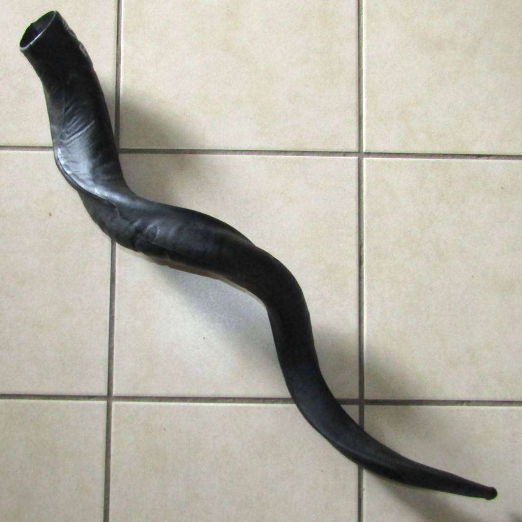 Large SA National Parks Plastic Kudu Horn
