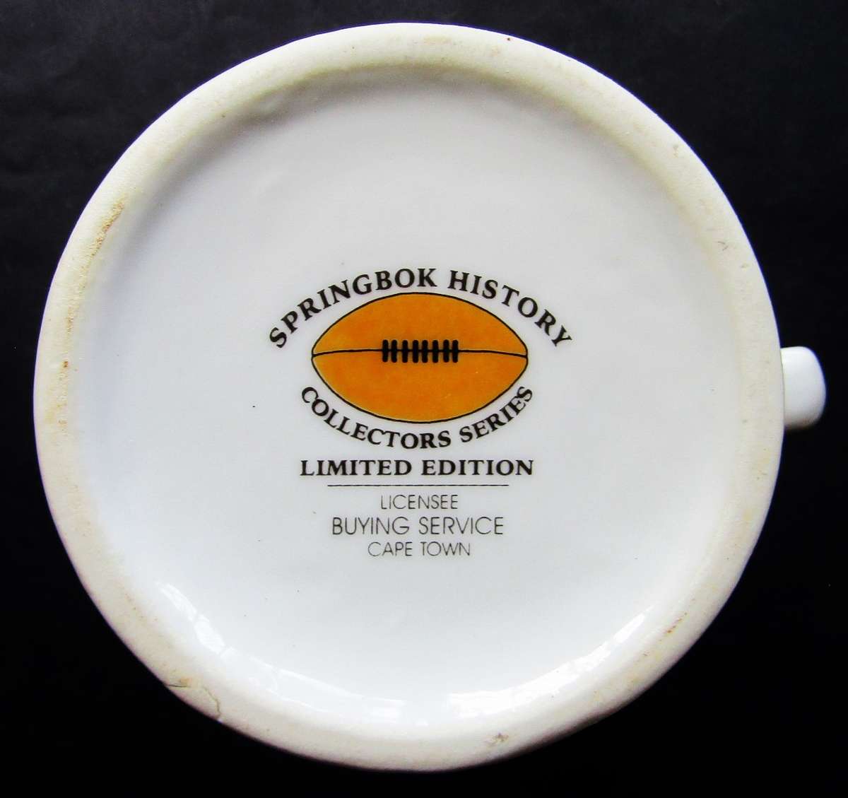 Large History of Springbok Rugby Beer Mug