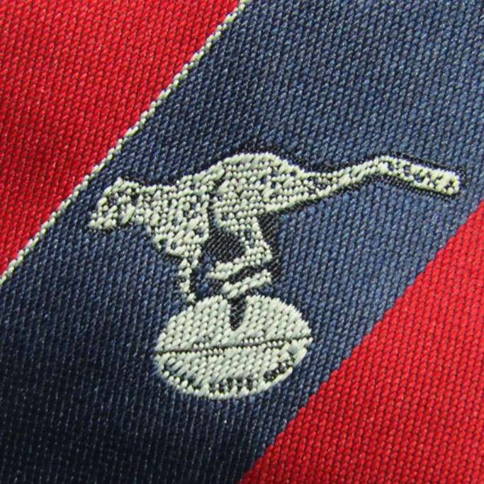 Old Vrystaat Cheetahs Rugby Neck Tie