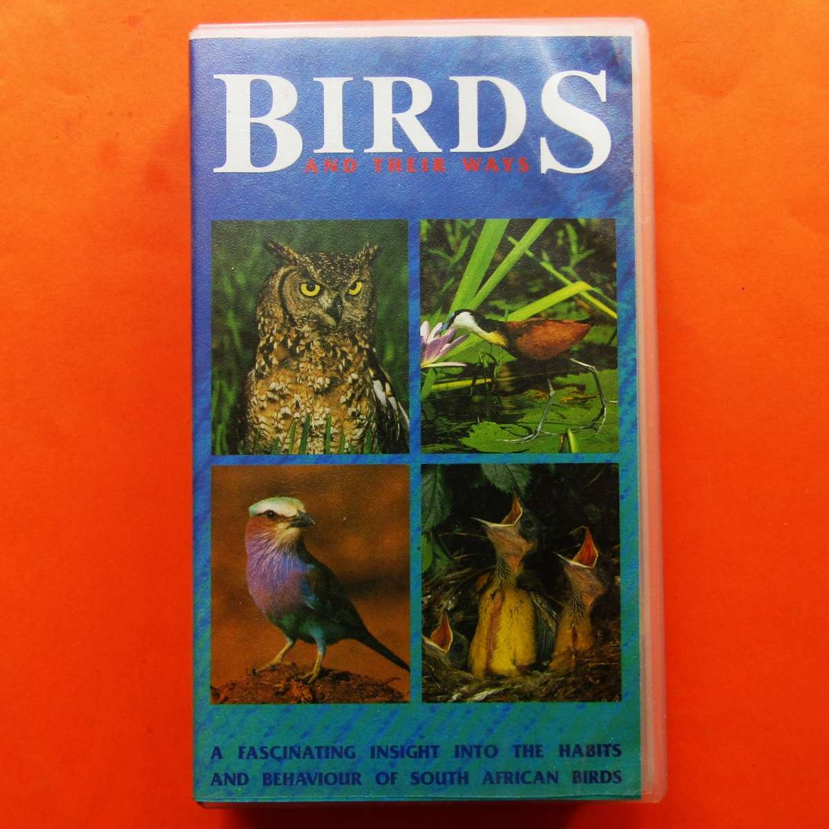 Birds and Their Ways - VHS Video Tape (1999)