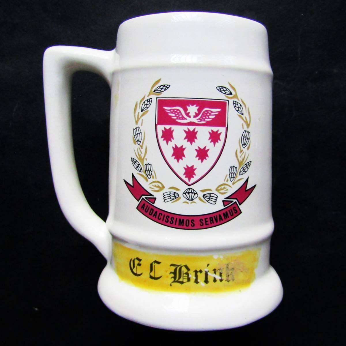 SADF 7 Medical Battalion Group Beer Mug