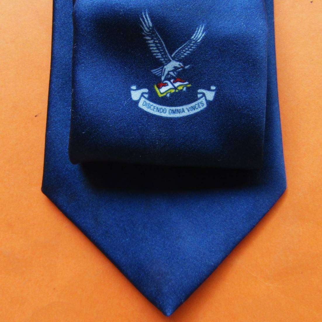 SAAF Air Force College Neck Tie