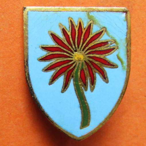 Old Noord Transvaal Rugby Lapel Pin Badge