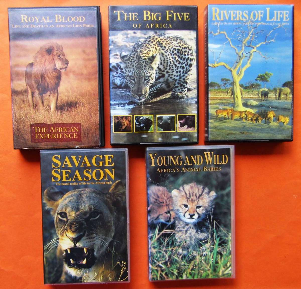 5 African Experience Wildlife VHS Video Tapes