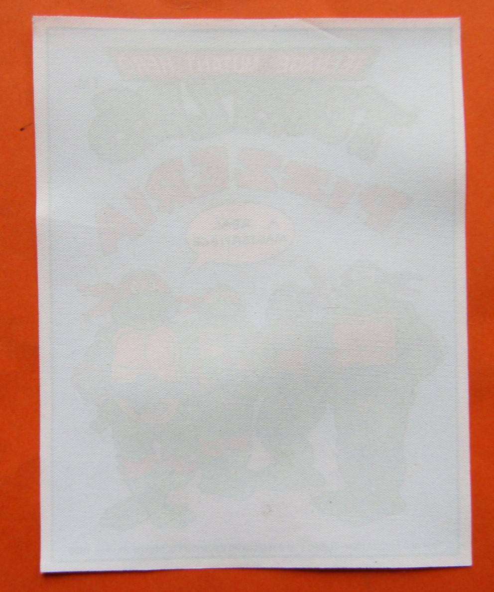1990 Teenage Mutant Ninja Turtles Cloth Badge