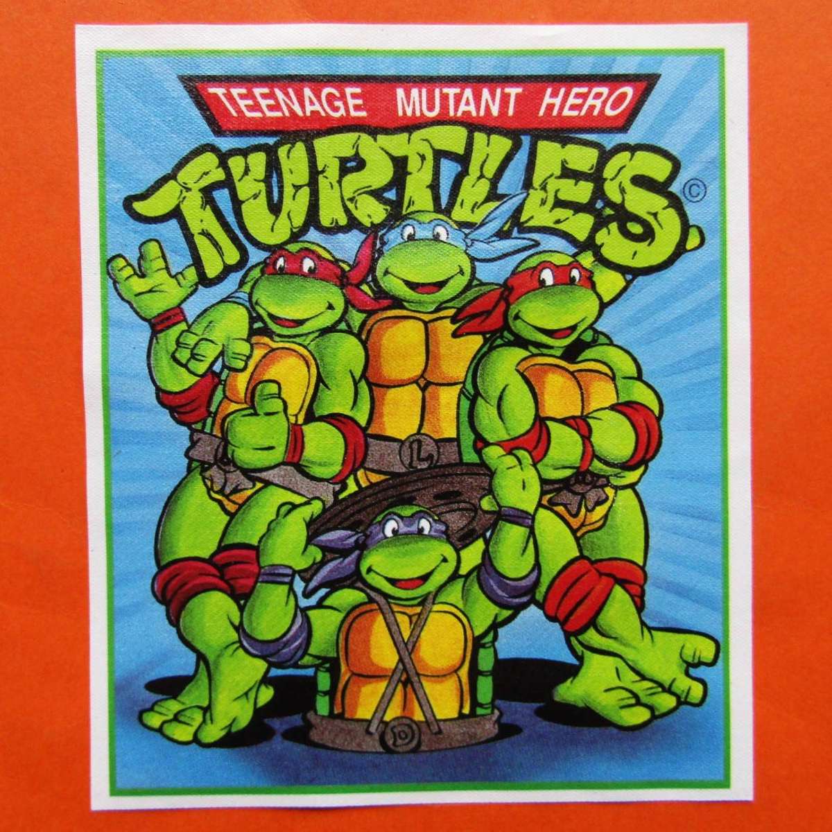 90's Teenage Mutant Ninja Turtles Cloth Badge