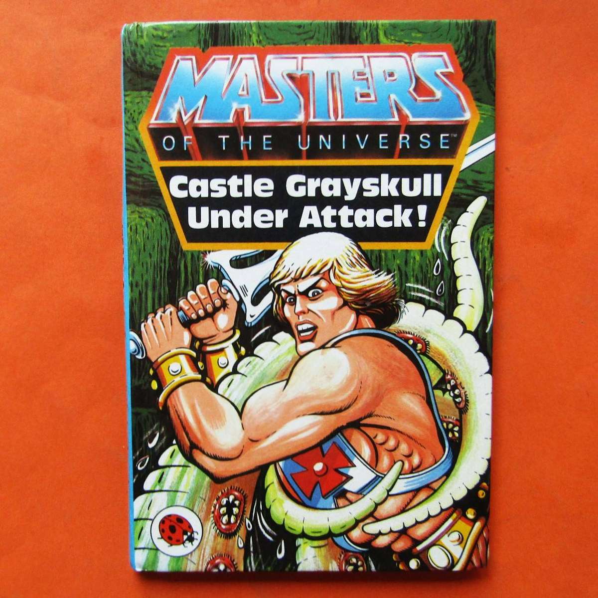 1984 He-Man Masters of the Universe - Hardcover Book