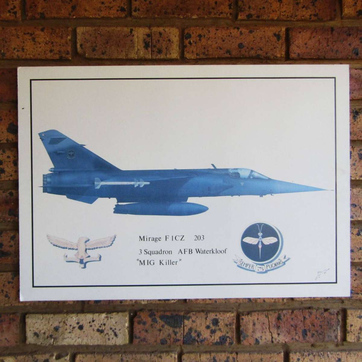 SAAF 3 Squadron Mirage Aircraft Hardboard Display