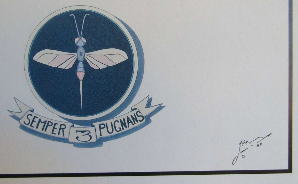 SAAF 3 Squadron Mirage Aircraft Hardboard Display