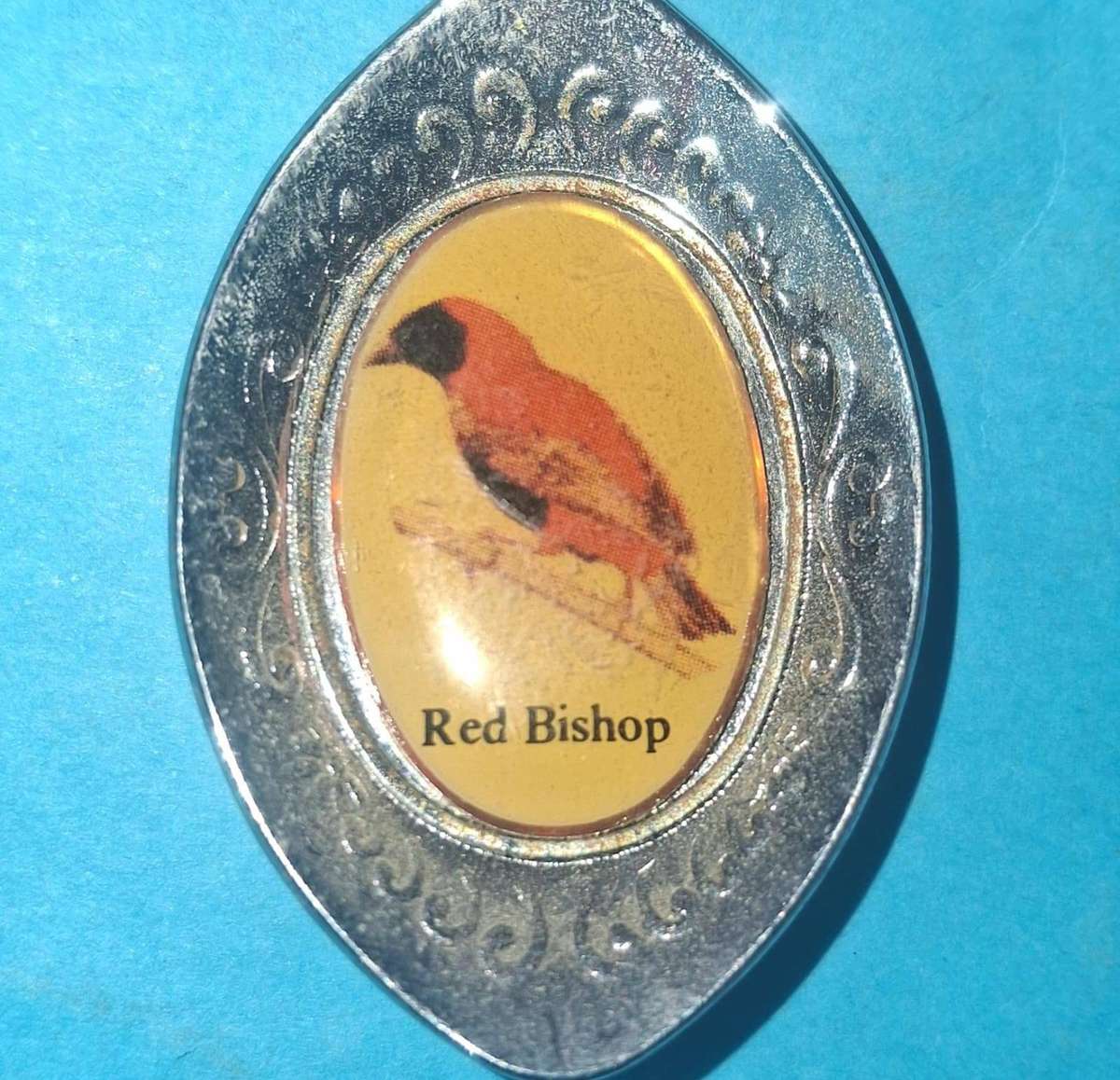 Old Kruger Park Satara Spoon