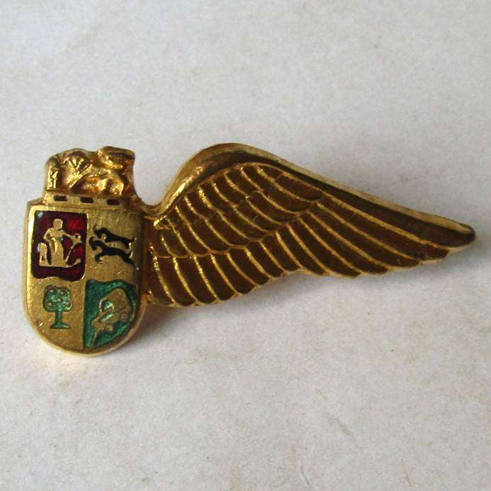 Old SAA Airways Cabin Crew Wing Badge