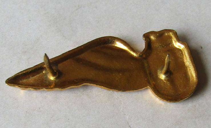 Old SAA Airways Cabin Crew Wing Badge