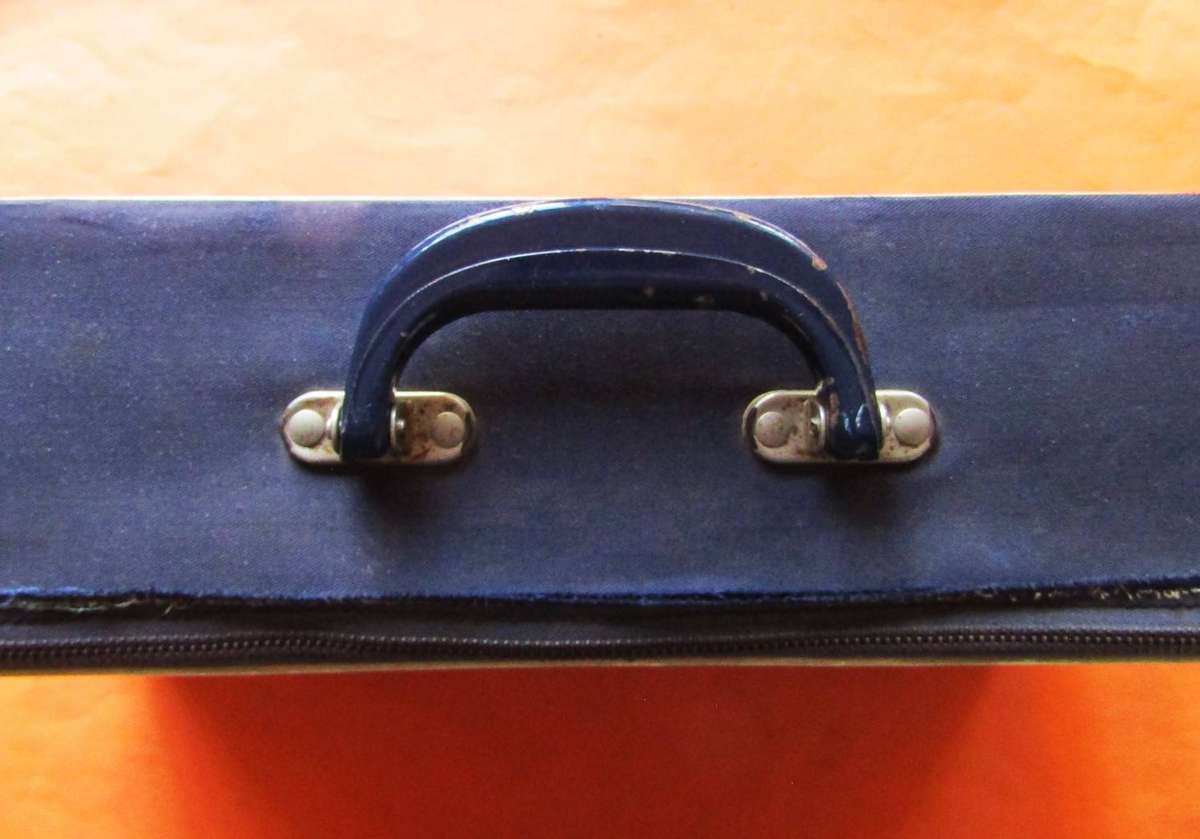 Old SAA Airways Flying Springbok Cabin Case
