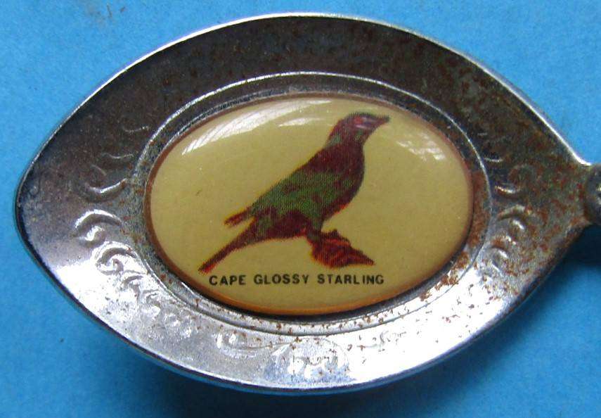 Old Kruger Park Olifants Spoon