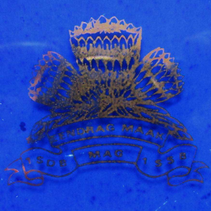SADF 1 Special Service Battalion Pin Tray