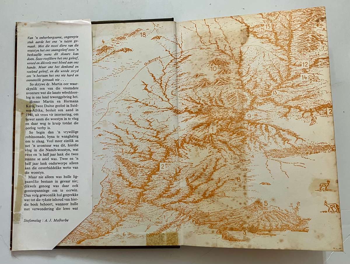 Vlug in die Namib - Henno Martin. Hardeband met stofjas. 1e Uitg. 8e Dr. 1967