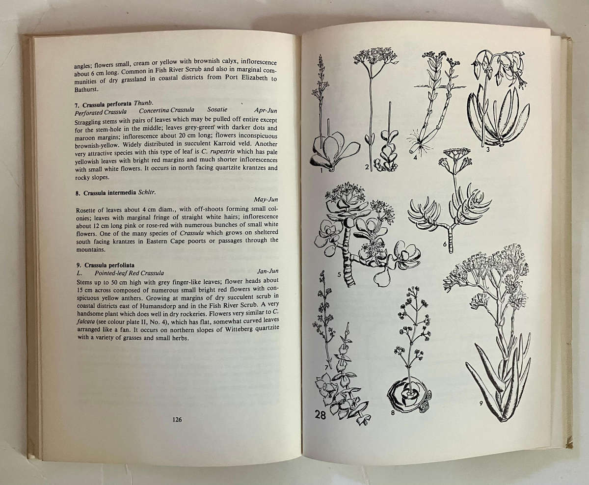 Eastern Cape Veld Flowers - Eily Gledhill. Hardcover w/o dj. 2nd Ed. 1981