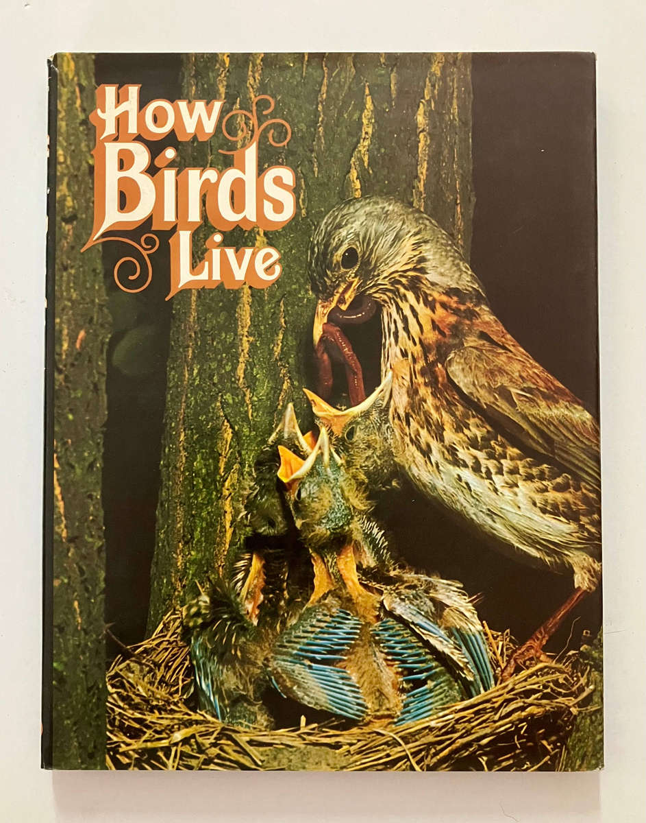 How Birds Live - Robert Burton. Hardcover w dj, 1st Ed, 1975
