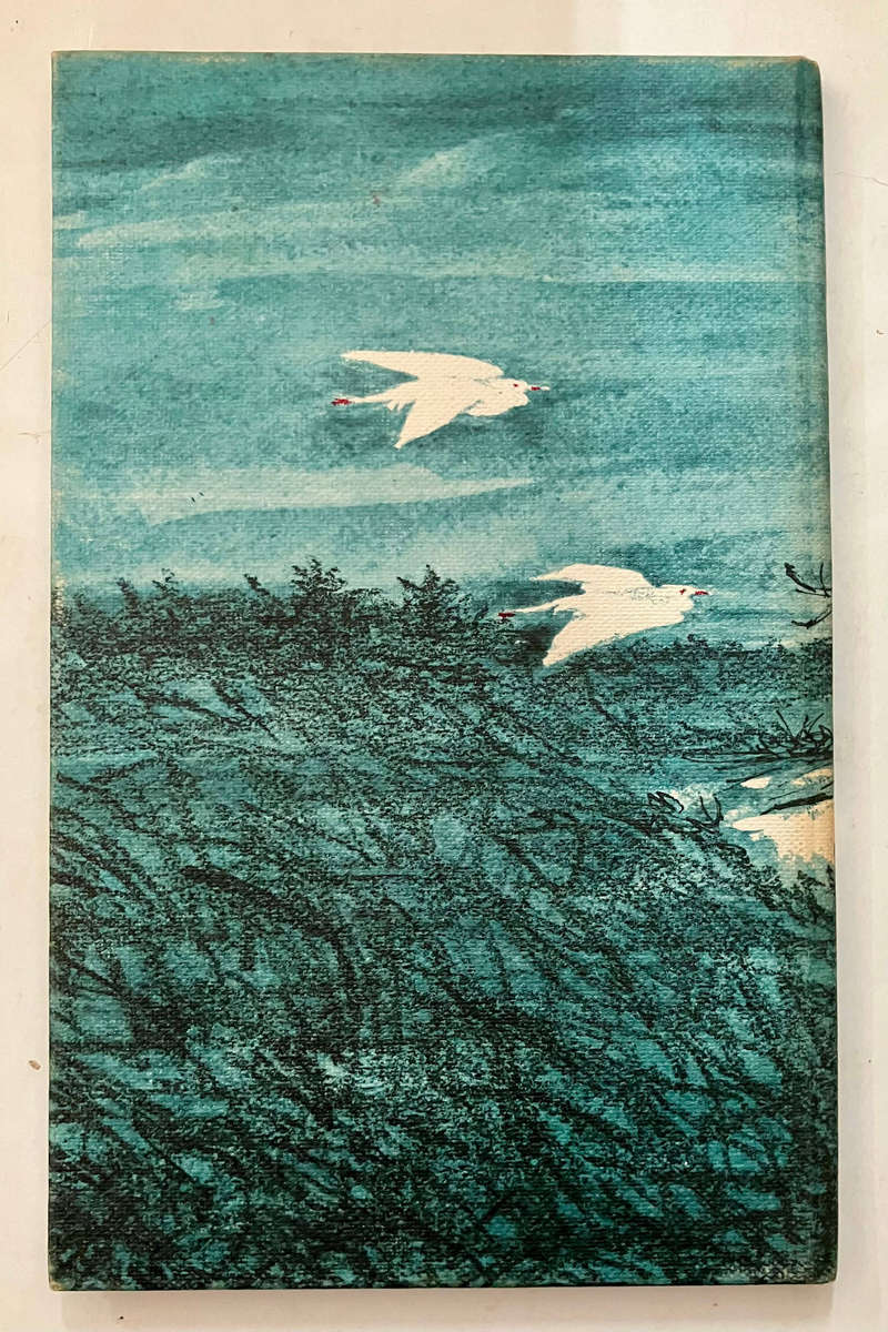 Dirkie van Driekuil - Alba Bouwer. Hardeband geen sj, 1e uitg, 1e dr. 1966