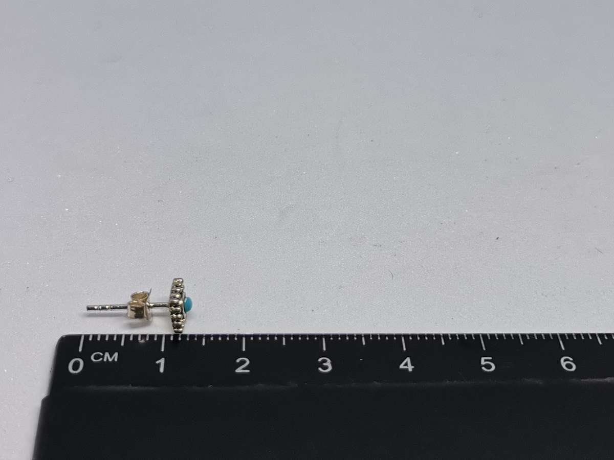 Cute Silver Earrings