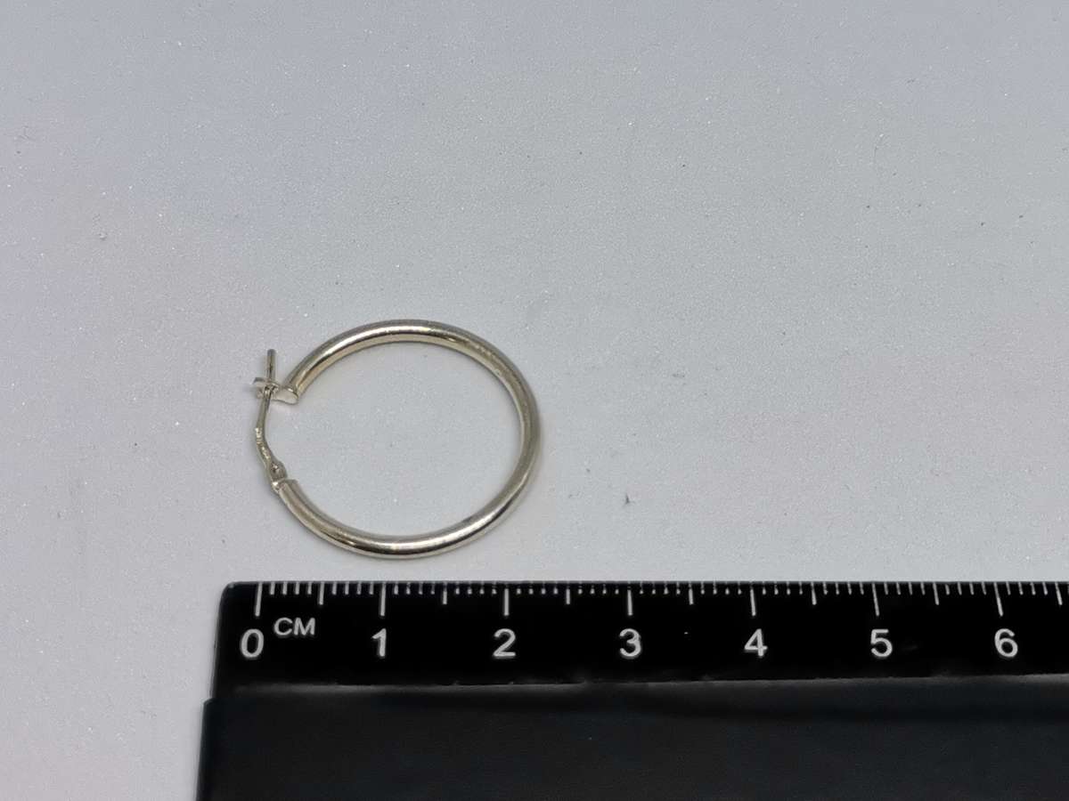 Silver Hoop Earrings