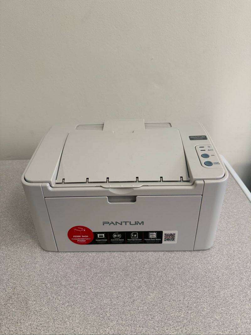 Pantum P2200 Laser Printer  Untested (No Cable)  Owner Says Working