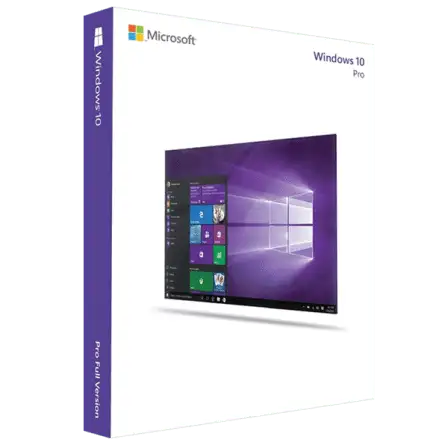Windows 10 Professional