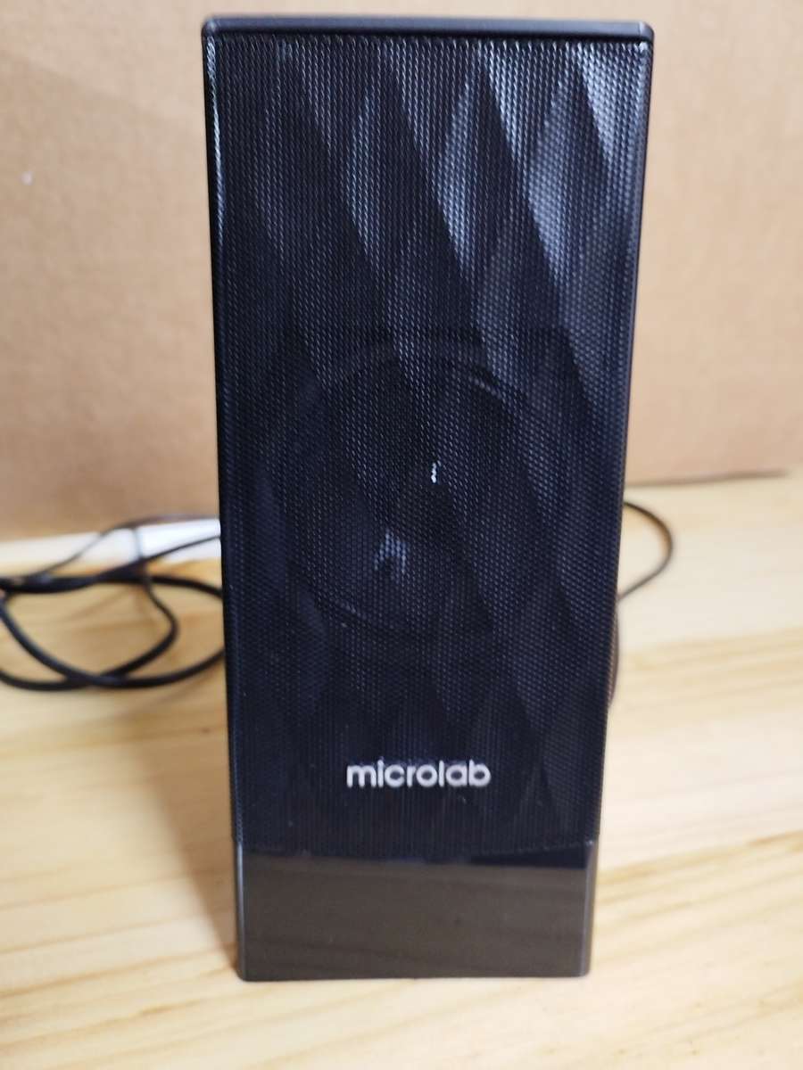 Microlab M-300 2.1 PC Speakers