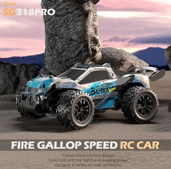ZLL SG318 PRO Beast Mini 1/20 scale 2.4G Brushed RC Car LED Light Racing Off-Road High Speed