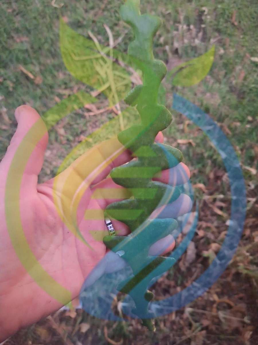 Fishbone plant cutting