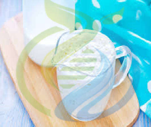 Milk Kefir Grains Live