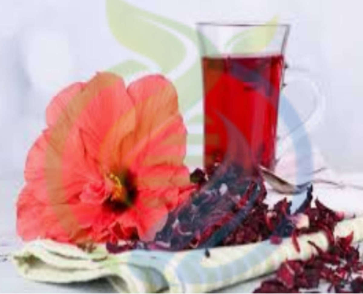 Roselle Hibiscus seed