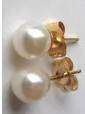 14k Yellow Gold and Culture Pearls Earrings