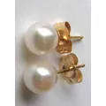 14k Yellow Gold and Culture Pearls Earrings