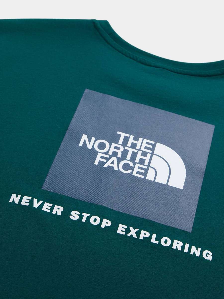 The North Face Men's bluebox 100% Cotton NSE Tee Shirt Green 87NP