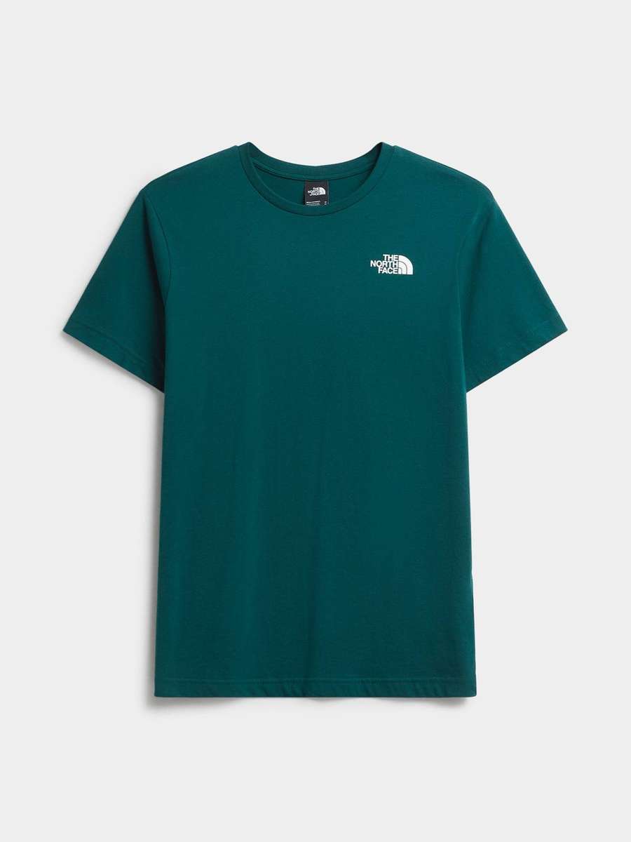 The North Face Men's bluebox 100% Cotton NSE Tee Shirt Green 87NP