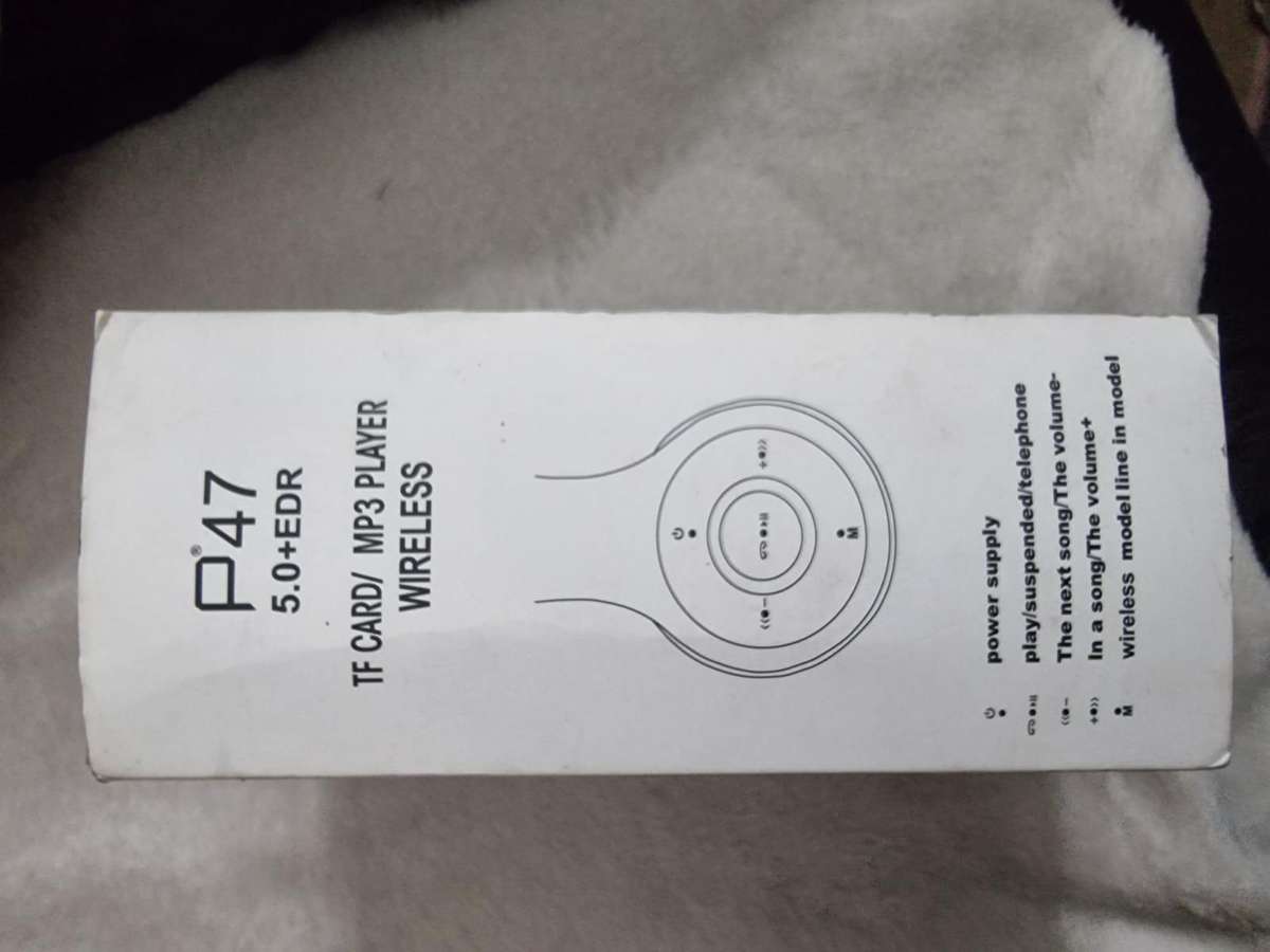 Divoom Bluetune Bean Bluetooth speaker and P47 headphone