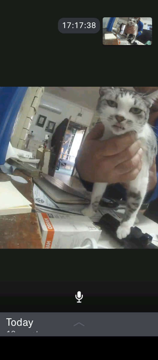 google nest cameras  1080p HD 3 mp nightvision wifi camera