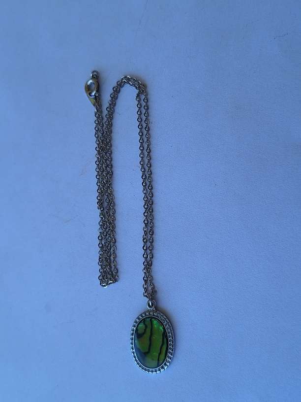 Necklace with stunning pendant