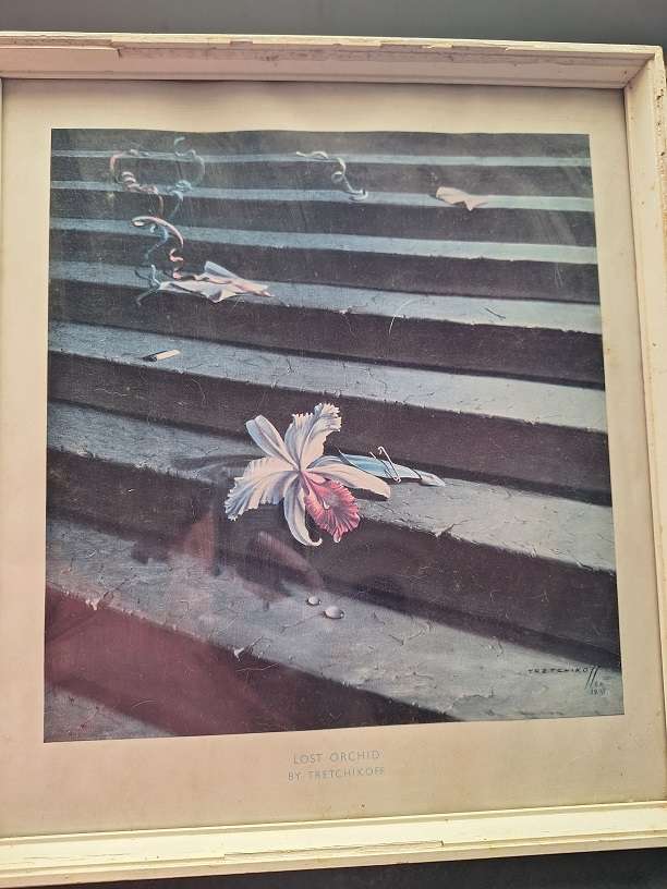 Tretchikoff print - Lost Orchid