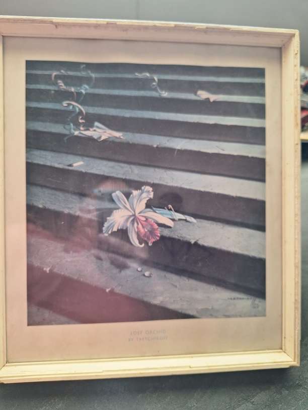 Tretchikoff print - Lost Orchid