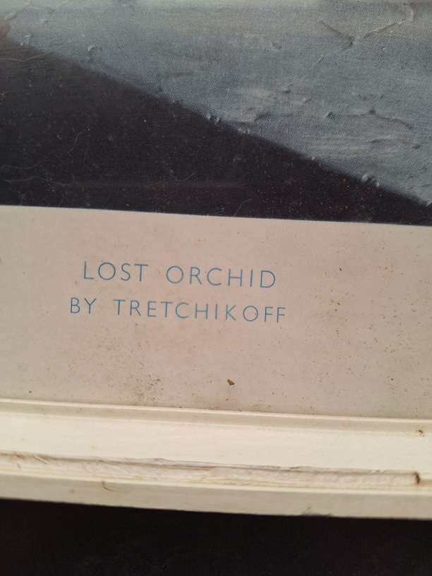 Tretchikoff print - Lost Orchid