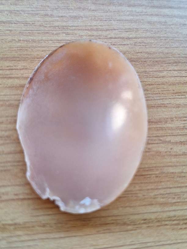 Vintage Cameo unmounted