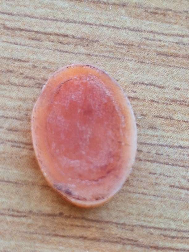 Tiny Cameo unmounted 1.5 x 1cm